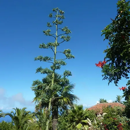 Holiday Home Finca 이코드레로스비노스